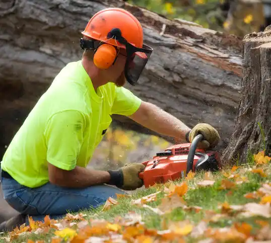 tree services West Hills